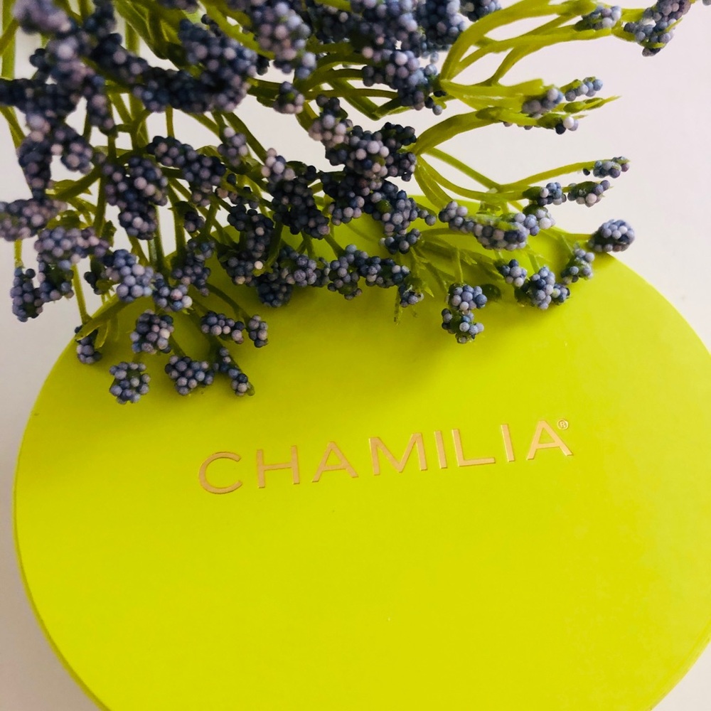 Chamilia Sterling Bracelet with Lime Green Jewelry Box 6.7 inches - Picture 9 of 12